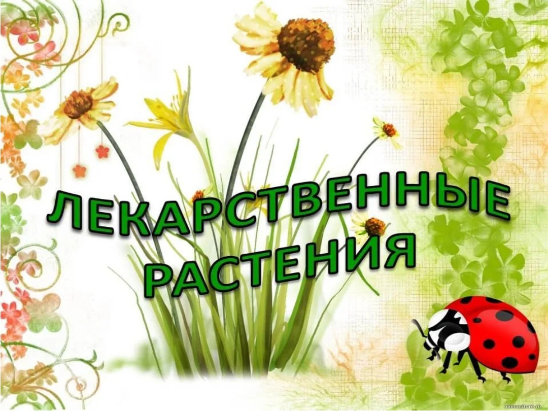 Воспитанники Щигровского центра посетили занятие «Лекарственные растения».