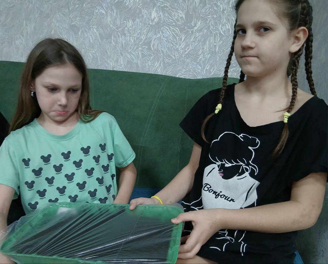 Воспитанницы Щигровского центра устроили «огород на подоконнике»